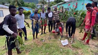 Iguana hunting in St Vincent  Open season [upl. by Sdlonyer]