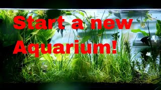 Aquarium Nitrogen Cycle Explained Simply [upl. by Anrahs]