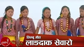 New Limbu Song  Langdak Sewaro  Kirat Song by Brabim Limbu [upl. by Etnoid201]