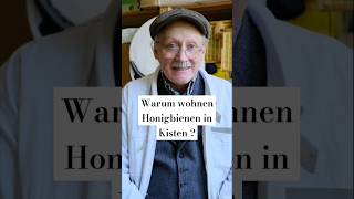 Warum Honigbienen in Kisten leben honigbiene hausbiene [upl. by Petrick]