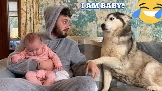 My Husky Is More Of A Baby Than My Newborn Baby CUTEST VIDEO EVER [upl. by Ribble]