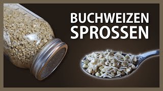 Buchweizen keimen lassen – Buchweizensprossen ziehen  Buchweizenkeimlinge – gekeimter Buchweizen [upl. by Cr]