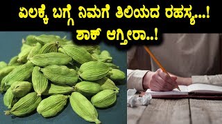 Elachi amazing benefits for human life  Health tips  Top Kannada TV [upl. by Beverlie]