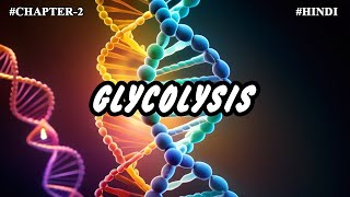 Chapter 2  Metabolism Of Carbohydrates Part2  Metabolic pathways  Glycolysis [upl. by Anaihs]