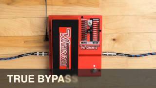 DigiTech Whammy Demo Video with Jonni Lightfoot [upl. by Wilcox945]