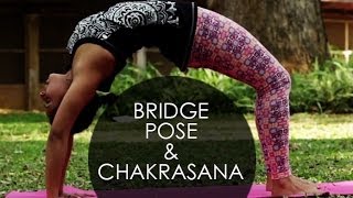 Backbend Yoga Poses Chakrasana The Wheel Pose I 2 [upl. by Nisen]