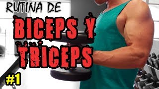 Hipertrofia Antagonista  Entrena Biceps y Triceps con LSF [upl. by Ad]