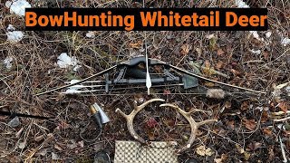 Traditional Bowhunting in Northern Saskatchewan for Whitetail Deer [upl. by Dolley]