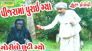 Pinjrama Purai Gya પીંજરામાં પુરાઈ ગ્યા Comedy VideolDeshi Comedy।।Comedy Video ll [upl. by Eliezer]