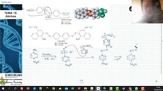 TEMA 13 AMINAS  1313 COLORANTES AZOICOS [upl. by Delgado]