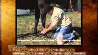 When amp How to Use IceOGel for Horse Leg Bowed Tendons Edema amp Ligament Damage [upl. by Sinnaiy]