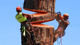 Fastest Big Chainsaw Cutting Tree Machines Skills Incredible Tree Felling Climbing With Chainsaw [upl. by Alauqahs]