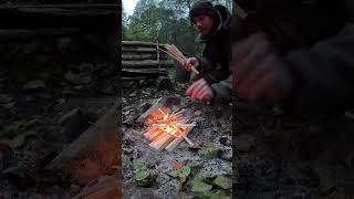 🏕️ Endlich mal wieder Feuer 🔥 Ich liebs  bushcraftdeutschland bushcraftcamp biwak [upl. by Tarra629]