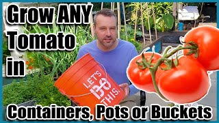 How to Grow Tomatoes in Containers Pots or Buckets Container Gardening [upl. by Elias658]