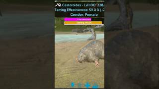 Tame Castoroides Giant Beaver shorts arkmobile [upl. by Ardnuek388]