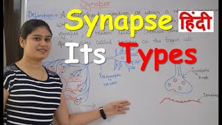 Synapse Physiology in Hindi  Types  Classification of synapse  Functions [upl. by Ezekiel]