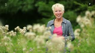 🔴 Gardeners World 2022  Gardening with Carol Klein 2022 Series 13 Episode 1 [upl. by Bonaparte]