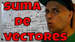 🔴▶ SUMA DE VECTORES  PRIMERA PARTE  CASO COLINEALES Y PERPENDICULARES [upl. by Ramirol]