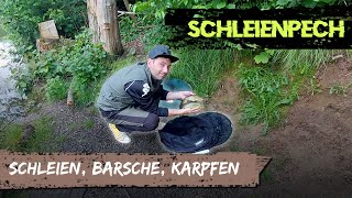 Folge 33 SCHLEIEN BARSCHE KARPFEN  Spontan auf Aal [upl. by Anaigroeg857]