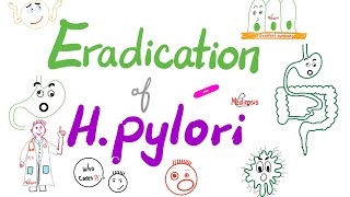 Eradication of Helicobacter Pylori Bacteria 🦠  The Triple Regimen amp The Quadruple Regimen [upl. by Normandy]