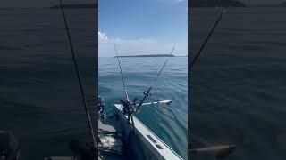 Downrigger  Surface Fishing  Apostle Islands [upl. by Burgwell]