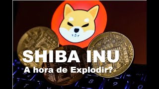 SHIBA INU SHIB Potencial Explosivo Análise Gráfica Completa da Crypto Moeda [upl. by Georgie906]