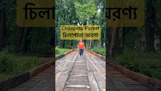 Chilapata Forest  Dooars Tour  Chilapata Jungle Safari  Malangi Tourist Lodge dooarstour travel [upl. by Samp]