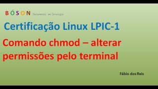 Comando chmod  Alterar permissões pelo terminal  Linux [upl. by Ahseekat]