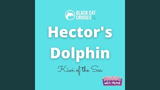 Hectors Dolphin Black Cat Cruises [upl. by Guendolen]