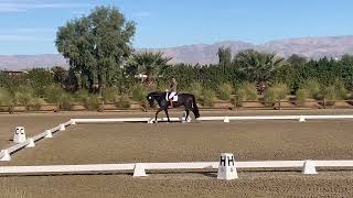 Don Snow EQ ☆ 768 Training Level Test 2 — Desert Dressage III [upl. by Erdreid]