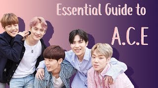 Essential Guide to ACE  Members Music Etc [upl. by Narda587]