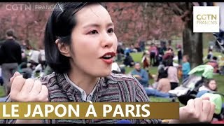 Les Parisiens célèbrent le printemps à la japonaise [upl. by Enrol61]