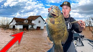 Catching Bass of a LIFETIME from FLOODED Farms STATE RECORD Hunt [upl. by Slater]