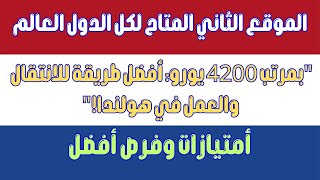 بمرتب 4200 يورو أفضل طريقة للانتقال والعمل في هولندا [upl. by Lovash]