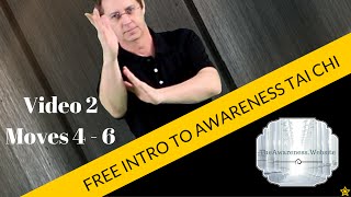 FREE Introduction to Awareness Tai Chi  Video 2 Moves 4  6 [upl. by Htevi]