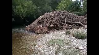 El río Arga muy descuidado a su pasó por la Rocha aytopamplona TxemaDobarro [upl. by Enneirb]