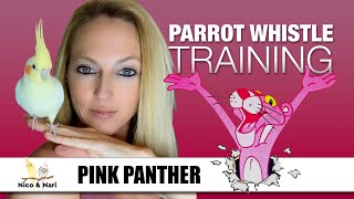 Pink Panther  Parrot Whistle Training [upl. by Letsirc]