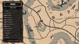 Red Dead Redemption 2 Parakeet Location Map at end [upl. by Svetlana]