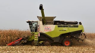 Claas Lexion 760TerraTrac  De Bruyne Agro  mais dorsen [upl. by Sayres]