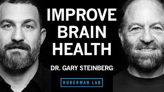 Dr Gary Steinberg How to Improve Brain Health amp Offset Neurodegeneration [upl. by Yenaj]