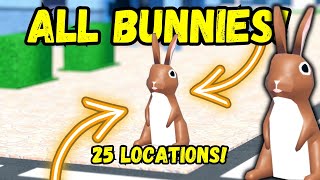 🔥ALL 25 BUNNIES LOCATION THE HUNT in Car Dealership Tycoon cardealershiptycoon roblox [upl. by Yeclehc243]