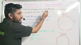 parts of flower and aestivation  morphology of flowering plants [upl. by Ynattib]
