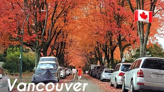 🇨🇦 4K Vancouver Fall Driving Tour  British Columbia Canada 2024 [upl. by Ttehc]