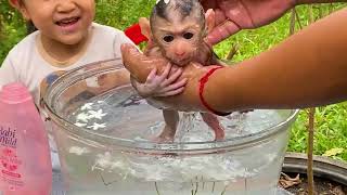 The First Video Show About Little Monkey Bathing Water Very Carefully By Mum [upl. by Aloeda]