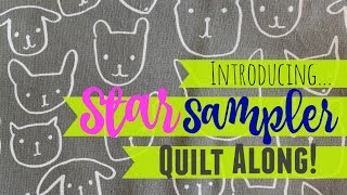 Introducing Quilt Along 3  A Star Sampler Quilt [upl. by Fortune]