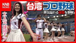 球団チアが大人気！熱気あふれる台湾のプロ野球を現地取材！｜啦啦操也很受歡迎！台灣職業棒球報導！ [upl. by Nhguavad]