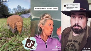 Armadillos Keep Digging Little Holes in My Backyard  Derek McDaniel  TikTok Song Reaction [upl. by Aratak]