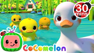 Five Little Duckies 30 MIN LOOP  Animal Songs For Kids [upl. by Combes]