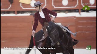 Los caballos toreros de Lea Vicens y la Yeguada Eucalipto en Montoro [upl. by Dimitry430]