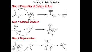 Lec6  Carboxylic acid Conversions to Acyl Chlorides Anhydrides and Esters [upl. by Asilav378]